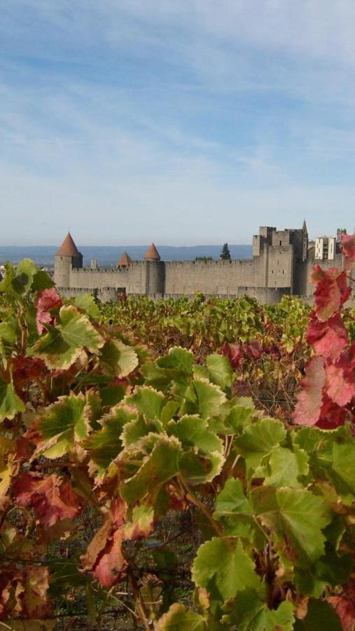 Chez Tatie Menie Bed & Breakfast Fraisse-des-Corbieres Exterior photo
