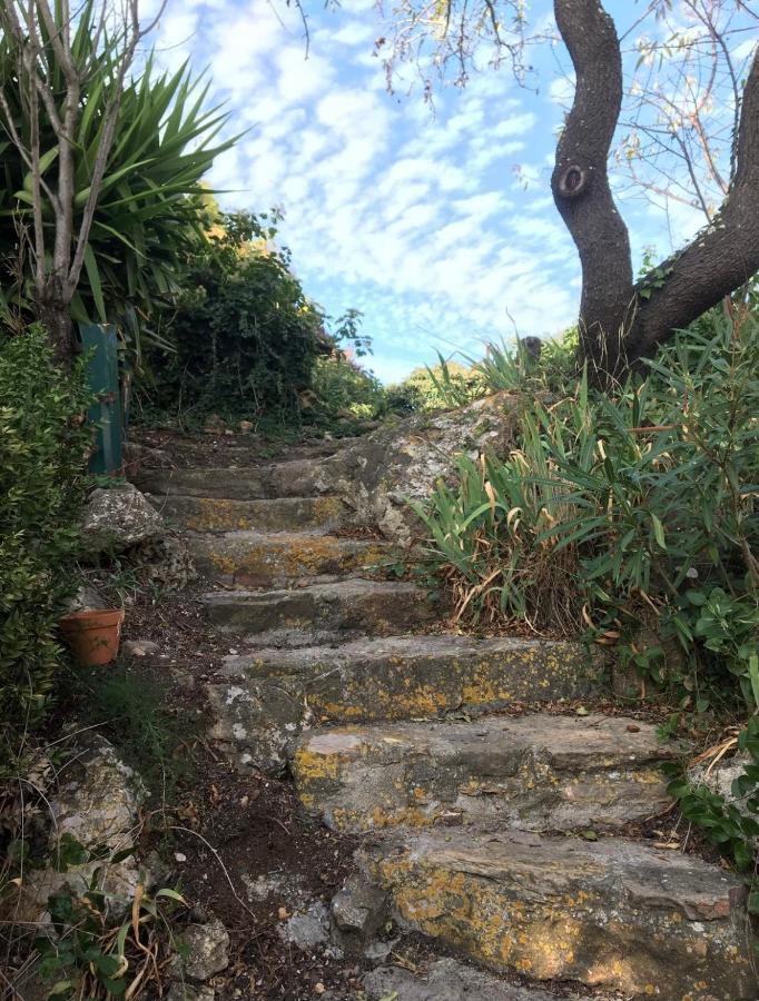 Chez Tatie Menie Bed & Breakfast Fraisse-des-Corbieres Exterior photo